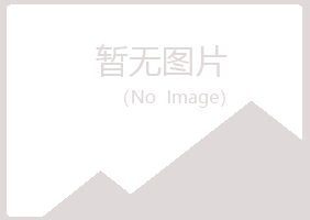 庆阳西峰雪萍化学有限公司